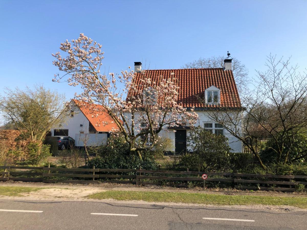Horse And Hound Bed & Breakfast Riethoven Exterior foto