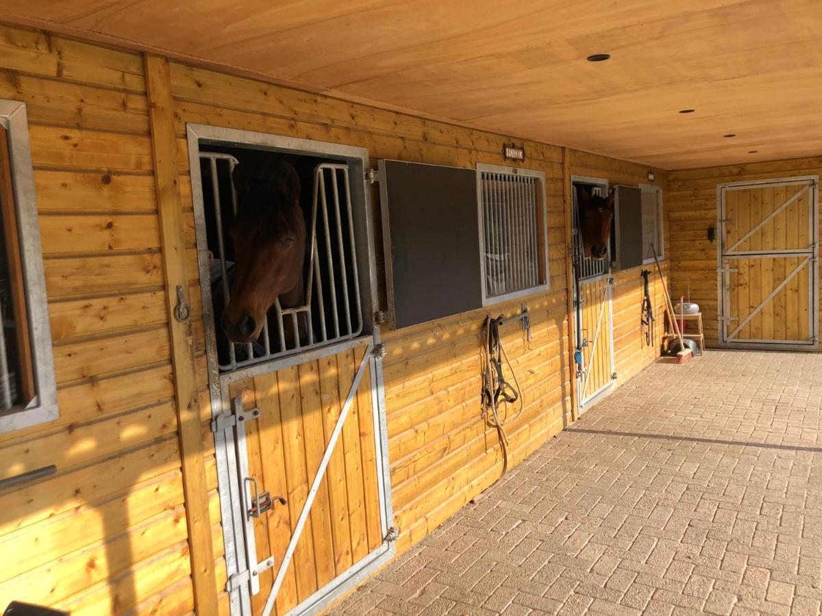 Horse And Hound Bed & Breakfast Riethoven Exterior foto