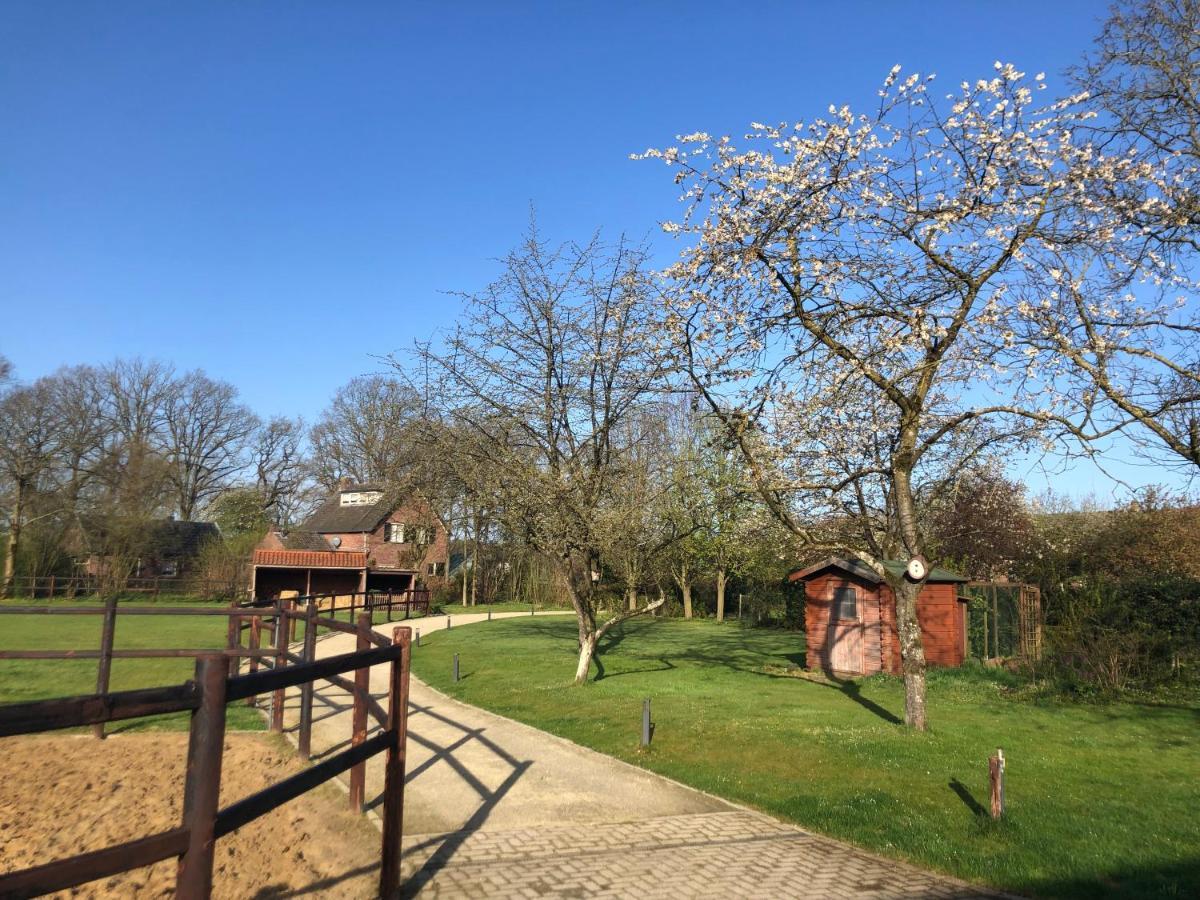 Horse And Hound Bed & Breakfast Riethoven Exterior foto
