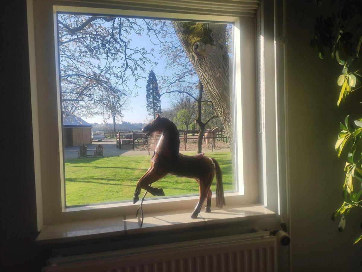 Horse And Hound Bed & Breakfast Riethoven Exterior foto