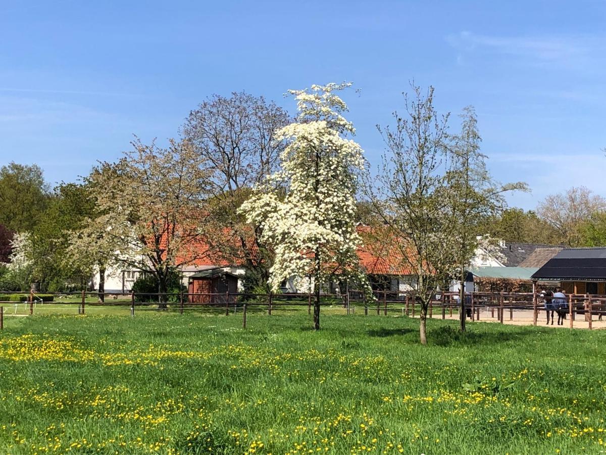 Horse And Hound Bed & Breakfast Riethoven Exterior foto