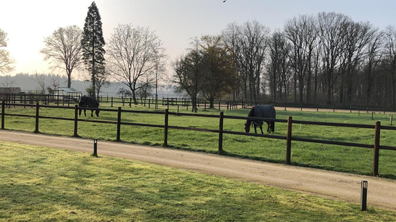 Horse And Hound Bed & Breakfast Riethoven Exterior foto