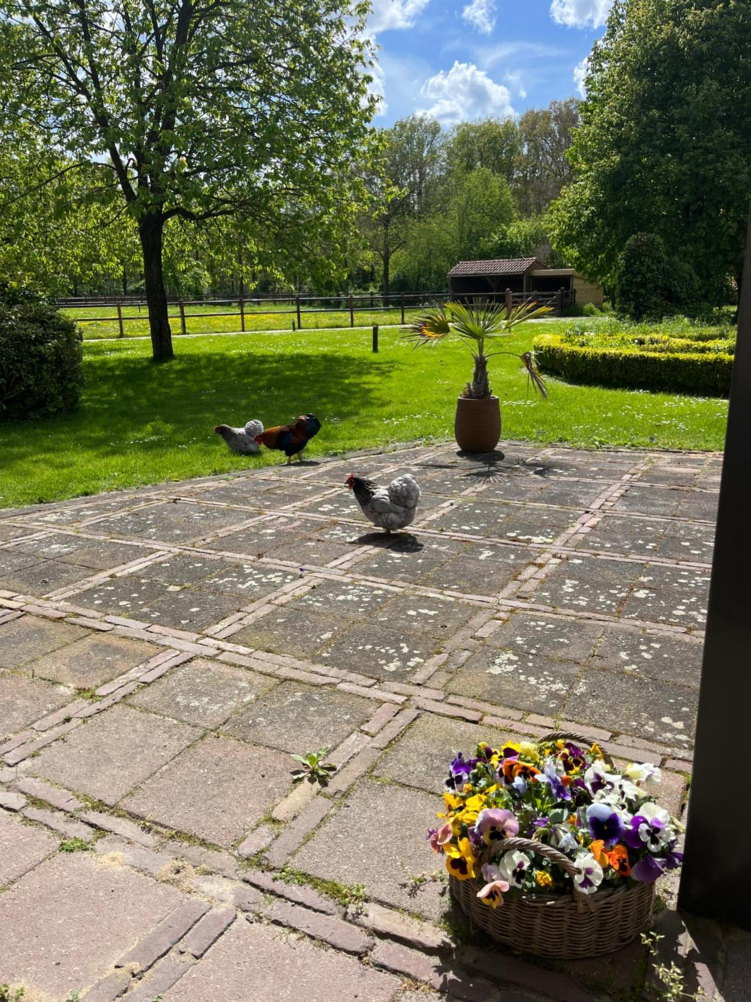 Horse And Hound Bed & Breakfast Riethoven Exterior foto
